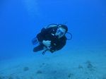 Hawaii Scuba divng 13