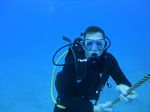 Hawaii Scuba divng 14