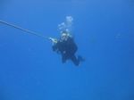 Hawaii Scuba divng 16