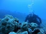 Hawaii Scuba divng 20