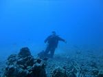 Hawaii Scuba divng 23