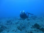 Hawaii Scuba divng 24