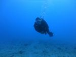 Hawaii Scuba divng 25