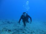 Hawaii Scuba divng 26