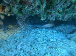 Hawaii Scuba divng 28