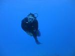 Hawaii Scuba divng 29