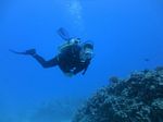 Hawaii Scuba divng 30