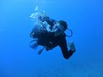 Hawaii Scuba divng 05