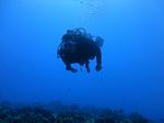 Hawaii Scuba divng 07