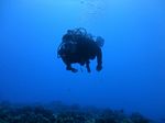 Hawaii Scuba divng 07