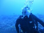 Hawaii Scuba divng 08