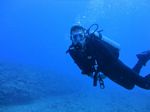 Hawaii Scuba divng 09