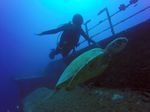 Hawaii Scuba divng 12