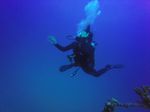 Hawaii Scuba divng 13