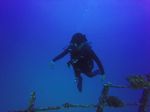 Hawaii Scuba divng 14