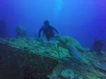 Hawaii Scuba divng 21