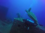 Hawaii Scuba divng 24