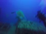 Hawaii Scuba divng 27