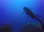 Hawaii Scuba divng 29