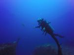 Hawaii Scuba divng 30