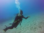 Hawaii Scuba divng 35