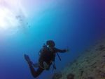 Hawaii Scuba divng 37