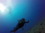 Hawaii Scuba divng 38