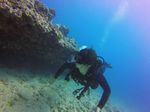 Hawaii Scuba divng 39