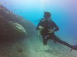 Hawaii Scuba divng 42