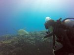 Hawaii Scuba divng 45