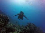 Hawaii Scuba divng 46