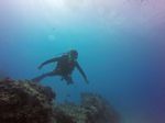 Hawaii Scuba divng 47