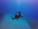 Hawaii Scuba divng 51