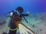 Hawaii Scuba divng 53