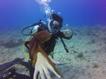 Hawaii Scuba divng 54