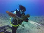 Hawaii Scuba divng 56