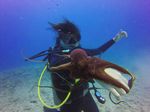 Hawaii Scuba divng 57