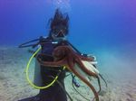 Hawaii Scuba divng 59