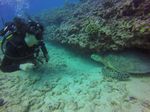 Hawaii Scuba divng 64