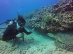 Hawaii Scuba divng 65