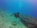 Hawaii Scuba divng 67