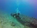 Hawaii Scuba divng 68