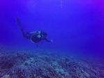 Hawaii Scuba divng 72