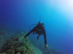 Hawaii Scuba divng 74