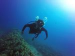 Hawaii Scuba divng 75