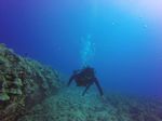 Hawaii Scuba divng 76