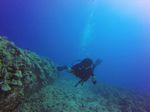 Hawaii Scuba divng 77