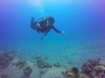 Hawaii Scuba divng 79