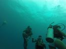 Hawaii Scuba divng 10