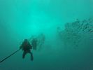 Hawaii Scuba divng 14